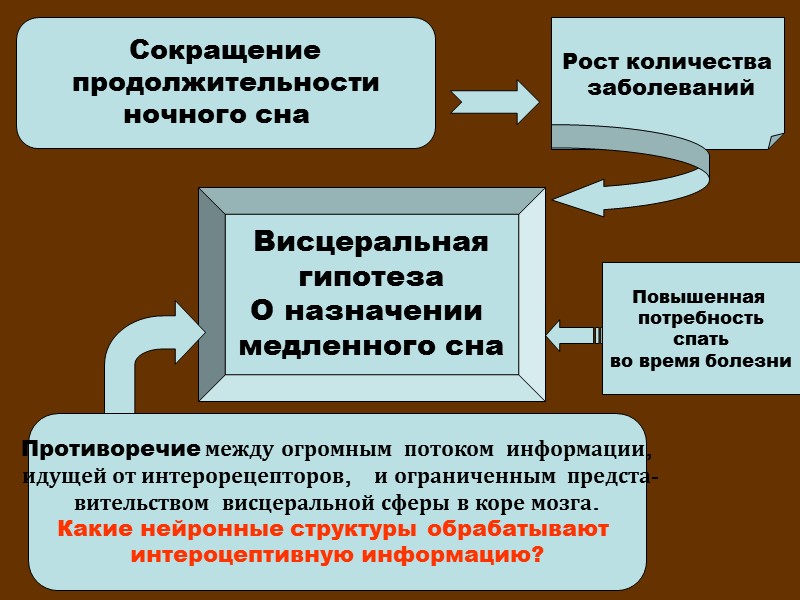 Сокращение  продолжительности  ночного сна   Висцеральная  гипотеза  О назначении